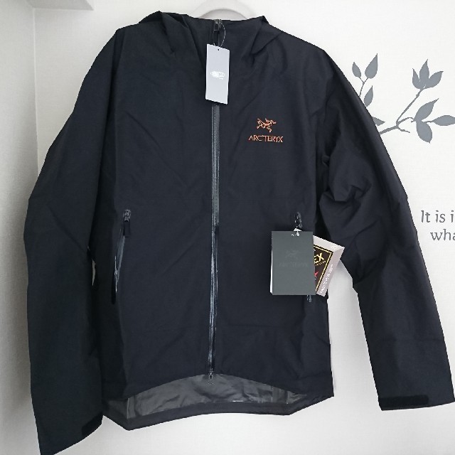 ARC'TERYX   ARC'TERYX BEAMS Zeta SL Lサイズの通販 by げげげのげん