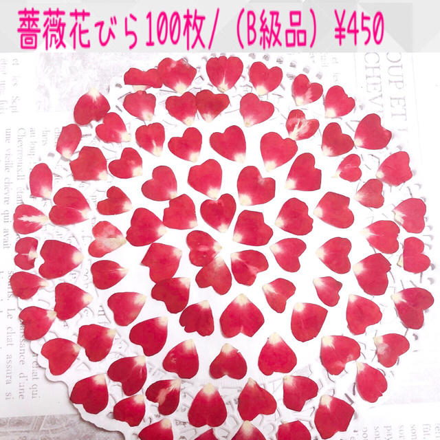 【100枚】ミニ薔薇花びら(B級品)/ハート花びら多数入/ドライフラワー/押し花 ハンドメイドの素材/材料(各種パーツ)の商品写真