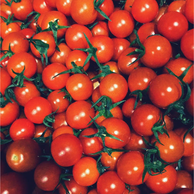 ちびミニトマト1kg  食品/飲料/酒の食品(野菜)の商品写真