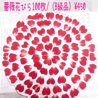 【100枚】ミニ薔薇花びら(B級品)/ハート花びら多数入/ドライフラワー/押し花(各種パーツ)