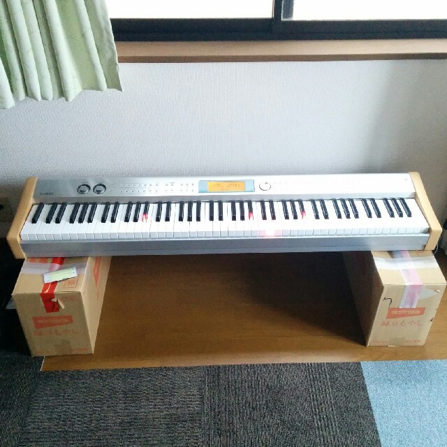 DIGITAL PIANO  CASIO PL-40R