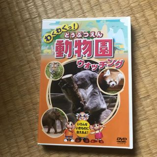 動物園ウォッチング  DVD(キッズ/ファミリー)