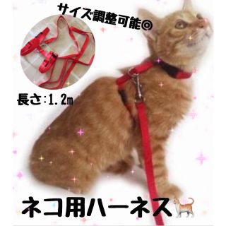 ネコ用リードハーネス︎୨୧*。  (猫)