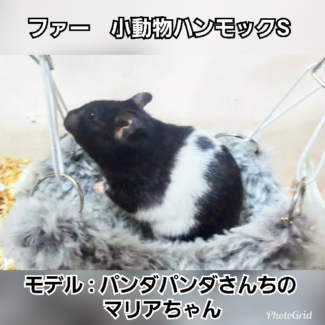 ファー　小動物ハンモック　Sサイズ その他のペット用品(小動物)の商品写真