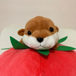 カワウソくん ぬいぐるみ(ぬいぐるみ)