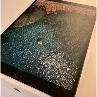 アイパッド(iPad)の【美品】iPad Pro 10.5inch 64GB MQDT2J/A(タブレット)