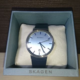 スカーゲン(SKAGEN)の腕時計 SKAGEN SKW9009(腕時計)