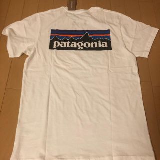 パタゴニア(patagonia)のパタゴニア tシャツ s(Tシャツ/カットソー(半袖/袖なし))