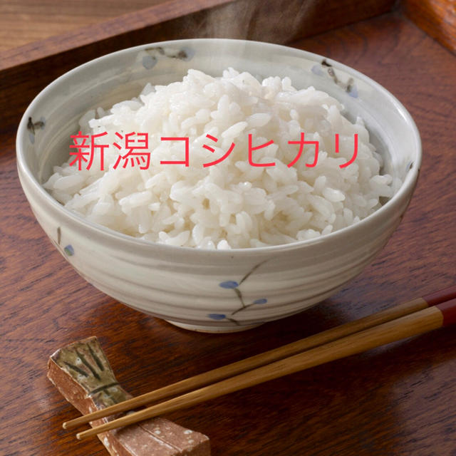 米/穀物新潟産コシヒカリ20キロ