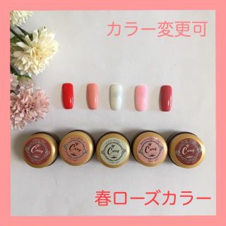 【カラー変更可】春カラー(カラージェル)