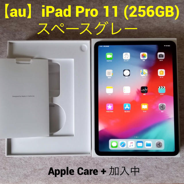 Apple - 【au】iPad Pro 11 (256GB) スペースグレー ◯