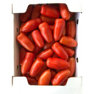 Pomodoro (ポモドーロ)1kg(野菜)