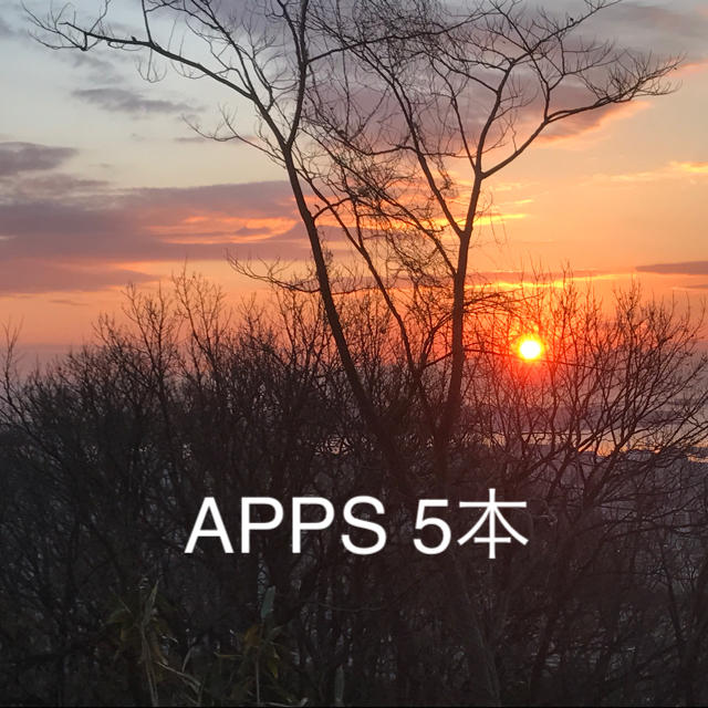 APPS 5本  どなたでも即ご購入ok