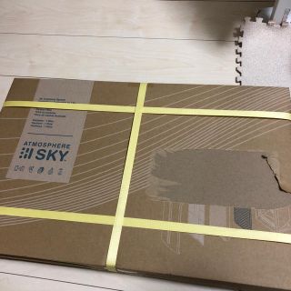 アムウェイ(Amway)のAMWAY ATMOSPHERE SKY カーボン脱臭フィルター(空気清浄器)