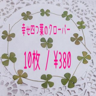 入手大困難/幸せ四つ葉のクローバー10枚/押し花素材/おまとめ買いおトク♡(各種パーツ)