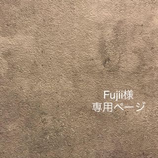 Fujii様 専用ページ(ピアス)