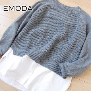 エモダ(EMODA)の未使用 フリーサイズ EMODA エモダ シャツドッキングニット グレー(ニット/セーター)