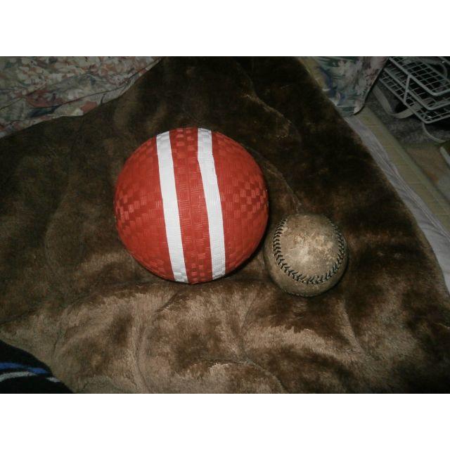 スローイングマスター　新品 スポーツ/アウトドアの野球(ボール)の商品写真