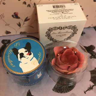 ラデュレ(LADUREE)のラデュレ♡フレンチブルドッグ♡レオン？チーク(チーク)