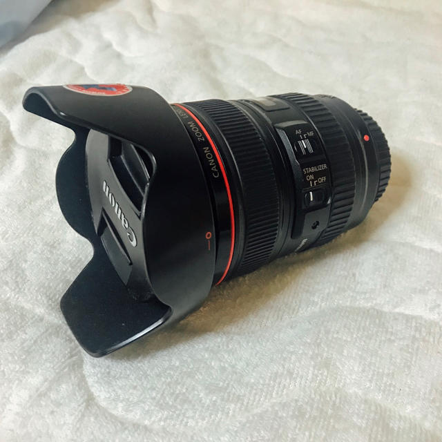 Canon EF24-105mm F4L IS USM