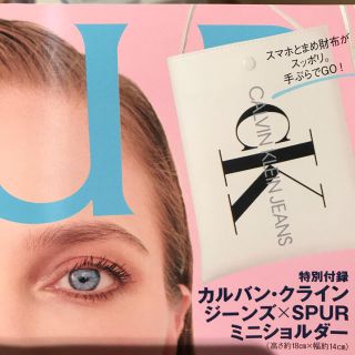 カルバンクライン(Calvin Klein)のSPUR2019年5月号付録(ポーチ)