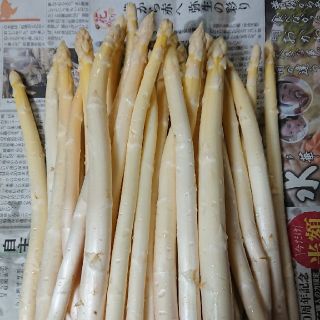 (限定増量！)佐賀県産ホワイトアスパラ1.8キロ(訳あり)(野菜)