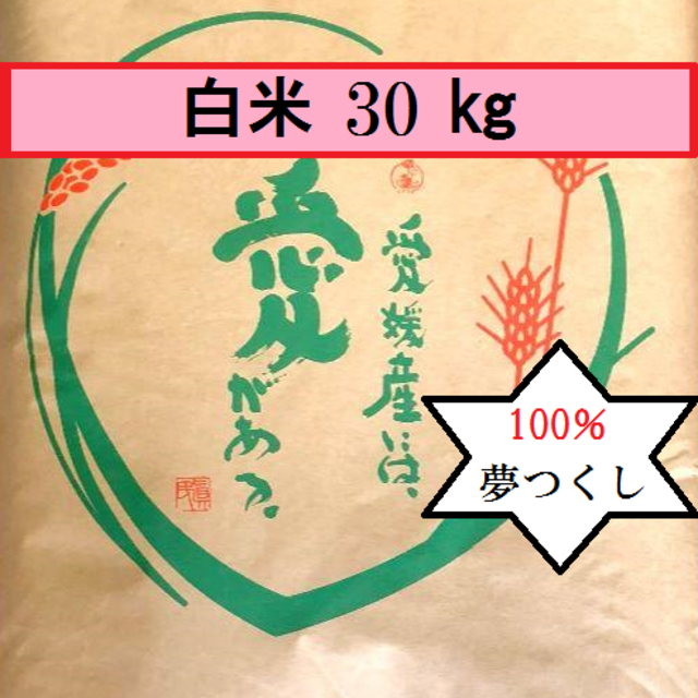 ぅり茶様専用⑤　お米　H30　夢つくし　白米　30㎏ 食品/飲料/酒の食品(米/穀物)の商品写真