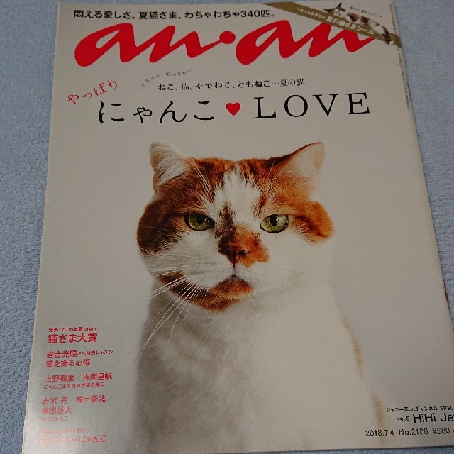 anan にゃんこLOVE +ドリップコーヒー エンタメ/ホビーの雑誌(アート/エンタメ/ホビー)の商品写真