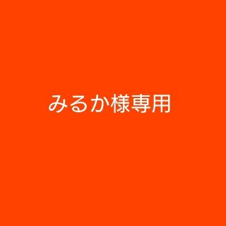 ニンテンドー3DS(ニンテンドー3DS)のみるか様専用(その他)