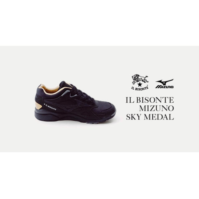 IL BISONTE(イルビゾンテ)のイルビゾンテ × ミズノ スニーカー 27cm メンズの靴/シューズ(スニーカー)の商品写真