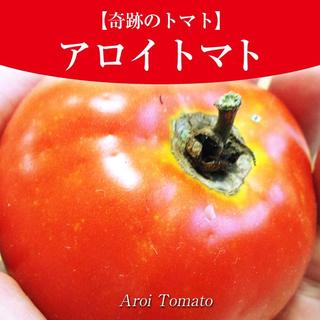 【奇跡のトマト】アロイトマトの種10粒（激レア品種）一般的に手に入らない品種～(野菜)
