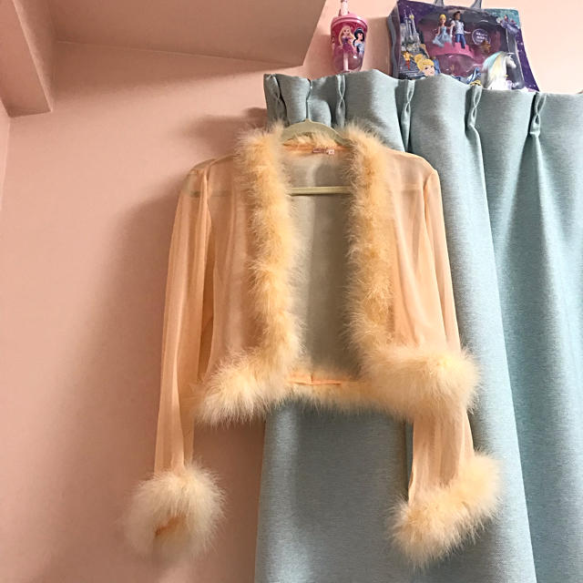 Candy Stripper(キャンディーストリッパー)のVintage sheer fur tops レディースのトップス(シャツ/ブラウス(長袖/七分))の商品写真