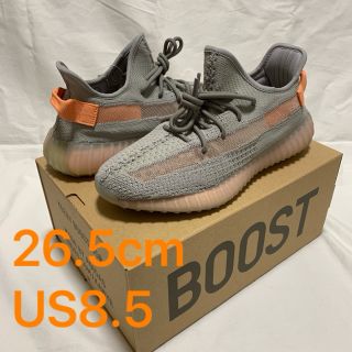 25.5cm Yeezy Boost 350 V2 True Form