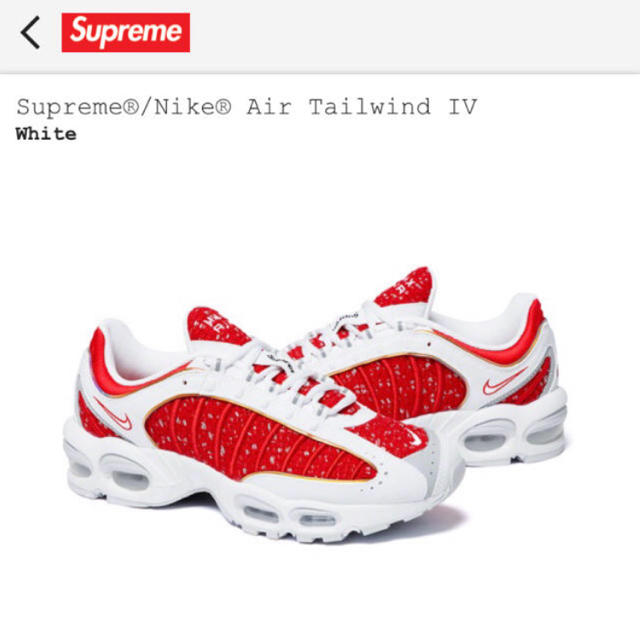 Supreme × Nike Air Tailwind IV