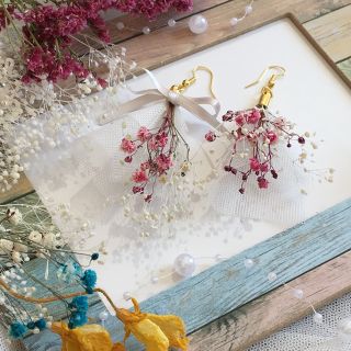 限定色 スワッグ  ピアス🌷(ドライフラワー)