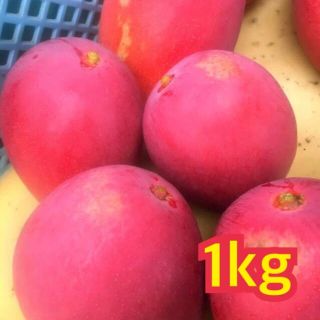 宮崎県産 完熟マンゴー 自家用 1kg(フルーツ)