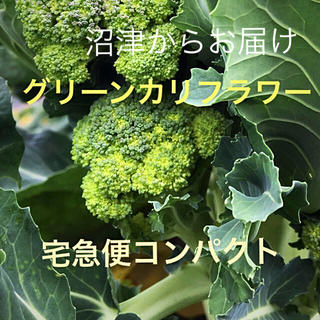 グリーンカリフラワー(野菜)