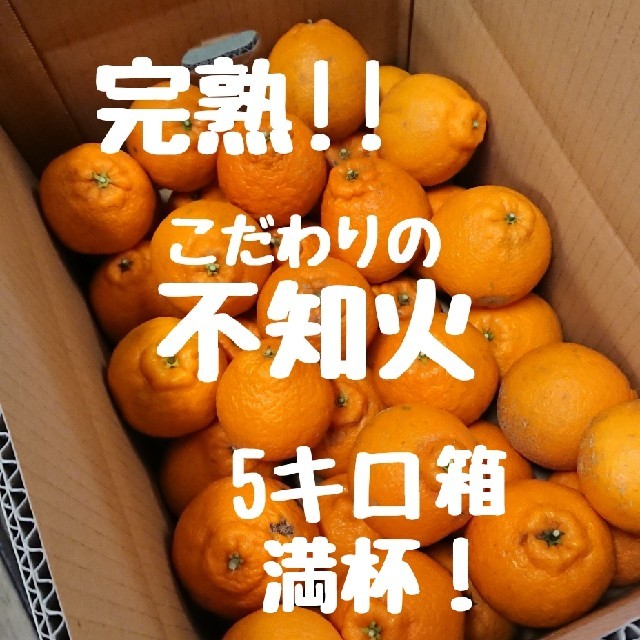 完熟!!不知火(デコポン) 5キロ箱満杯 ご家庭用 食品/飲料/酒の食品(フルーツ)の商品写真