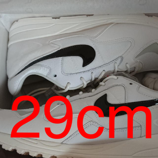 フィアオブゴッド(FEAR OF GOD)のFEAR OF GOD × NIKE AIR SKYLON II 29cm(スニーカー)