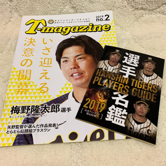 阪神タイガース(ハンシンタイガース)のT-magazine no.2  選手名鑑 スポーツ/アウトドアの野球(その他)の商品写真