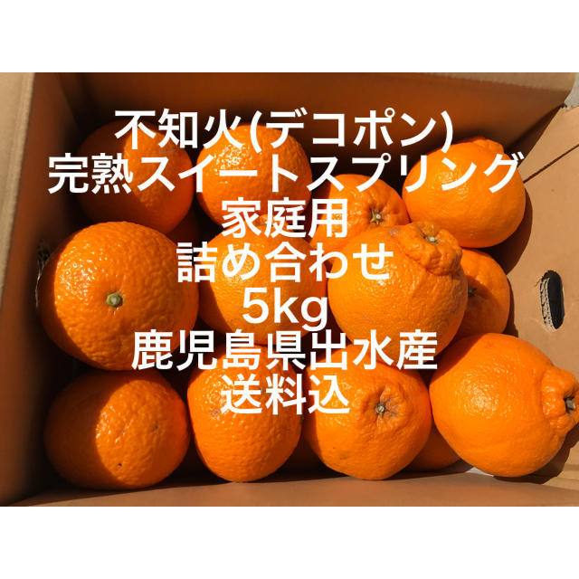 鹿児島県出水産 不知火 デコポン スイートスプリング 詰め合わせ 5kg 家庭用 食品/飲料/酒の食品(フルーツ)の商品写真