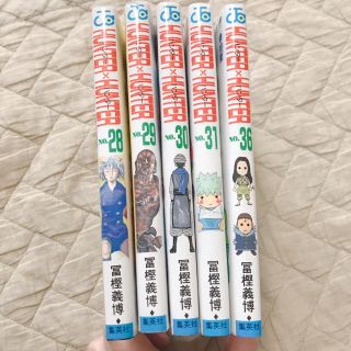 ハンターハンター36巻 おまめさん専用(少年漫画)