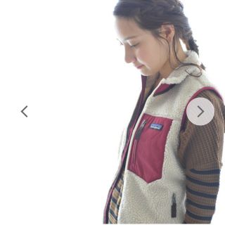 パタゴニア(patagonia)の【値下げしました】未使用パタゴニアPatagoniaレトロXベスト(ベスト)