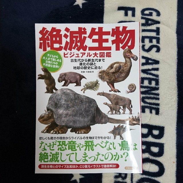 絶滅生物  ビジュアル大図鑑  洋泉社 エンタメ/ホビーの本(語学/参考書)の商品写真