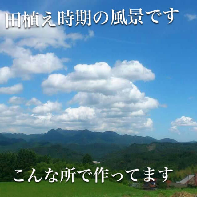 #512様専用 25キロ分全て精米小分けなし 食品/飲料/酒の食品(米/穀物)の商品写真