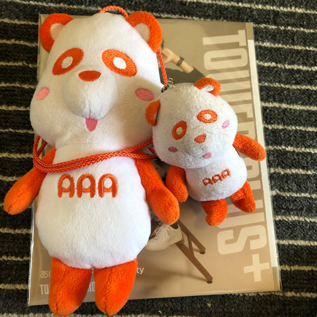 AAA(トリプルエー)のAパンダNissyオレンジポーチ＆キーホルダー エンタメ/ホビーのタレントグッズ(ミュージシャン)の商品写真