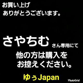 パナソニック(Panasonic)のフェリエフェイス用(レディースシェーバー)