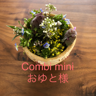 コンビミニ(Combi mini)のCombi mini花柄トップス(Tシャツ/カットソー)
