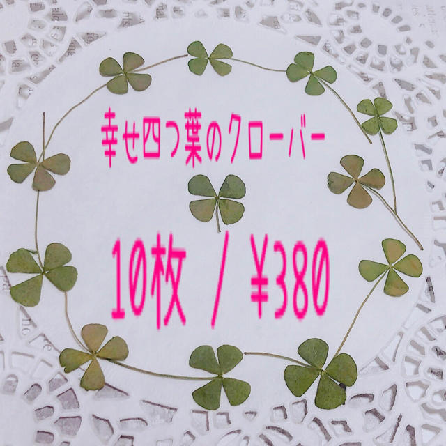 入手大困難/幸せ四つ葉のクローバー10枚/押し花素材/おまとめ買いおトク♡   ハンドメイドの素材/材料(各種パーツ)の商品写真