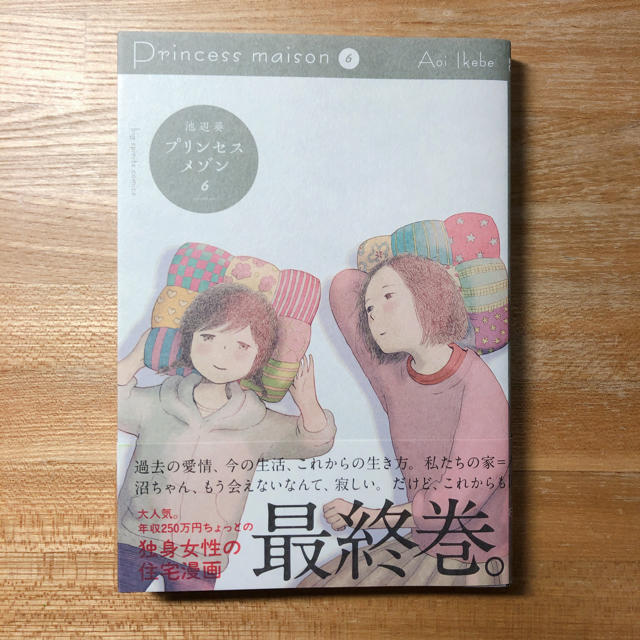 小学館(ショウガクカン)のプリンセスメゾン 6巻 エンタメ/ホビーの漫画(女性漫画)の商品写真